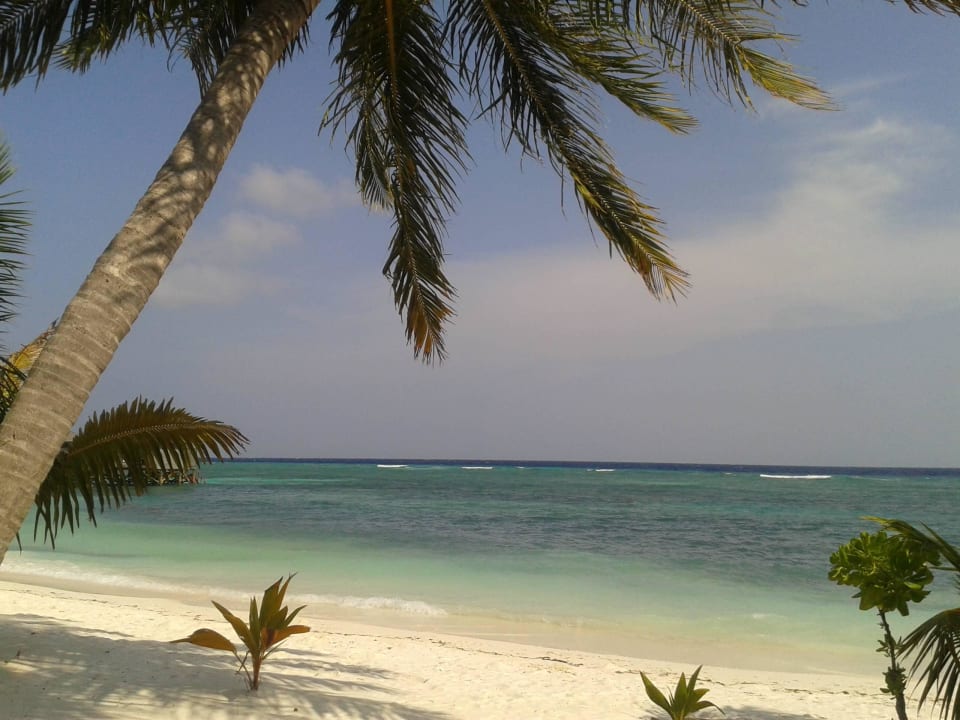 Direkt vor unserem Bungalow Kuredu Island Resort & Spa