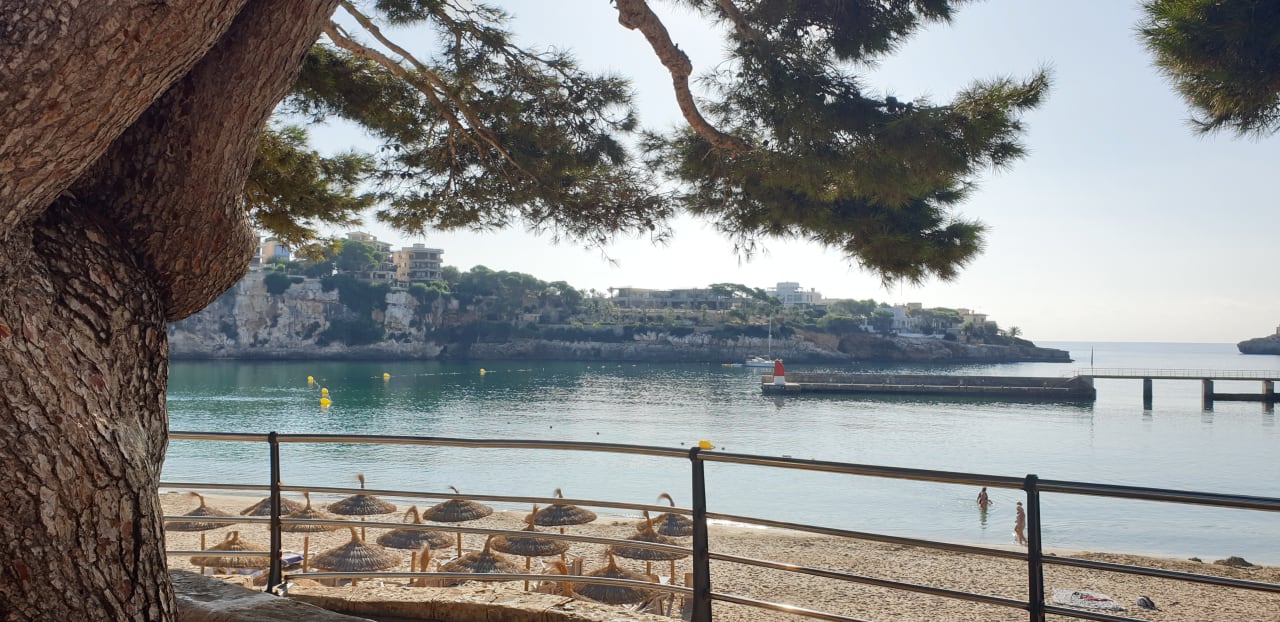 Ausblick THB Felip - Adults only