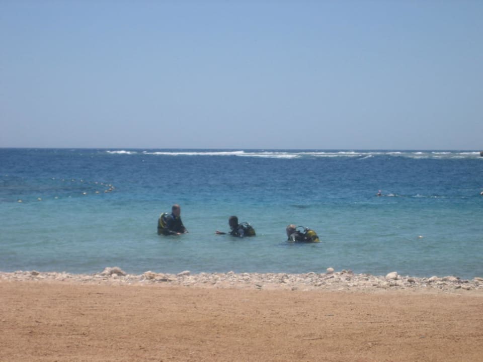 Strand/Riff Hotel Coral Garden