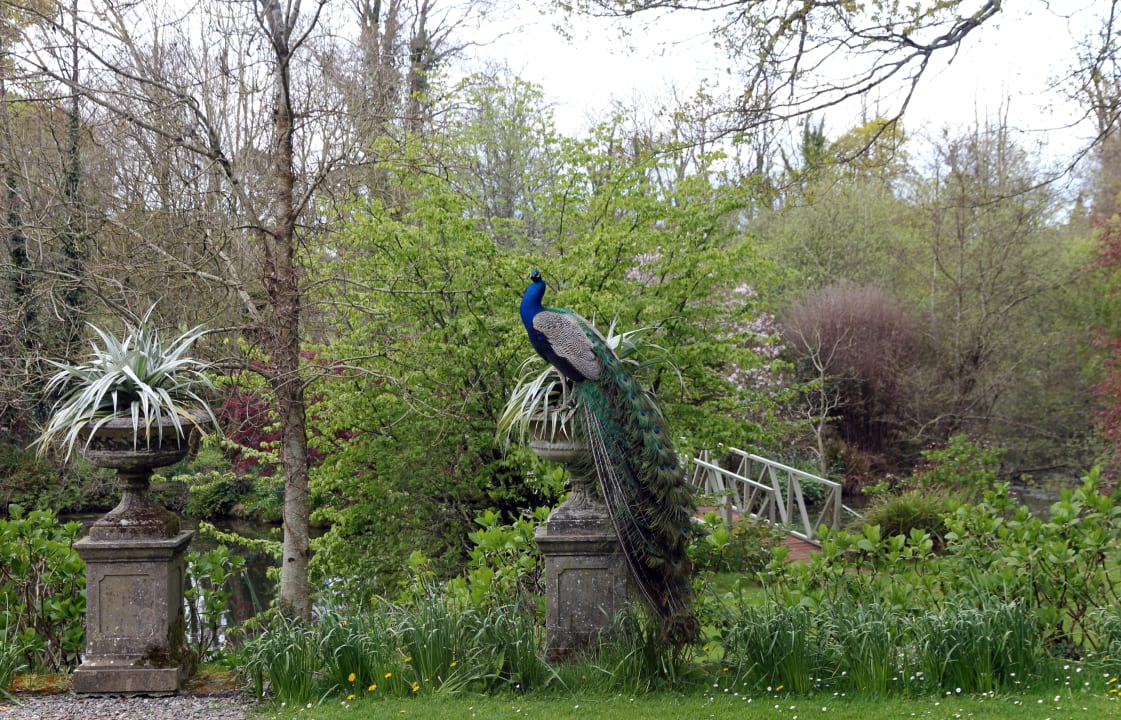 Gartenanlage Hotel Marlfield House