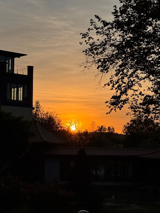 Sonstiges Spirit & SPA Hotel Birkenhof am Elfenhain