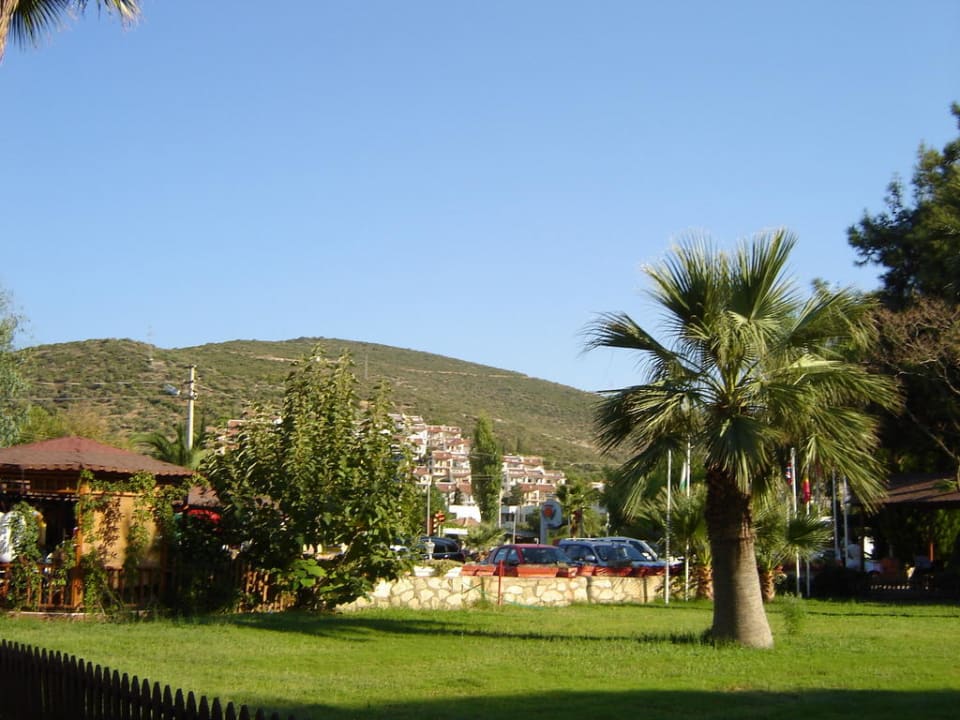 Ogród od strony ulicy Hotel  Pigale