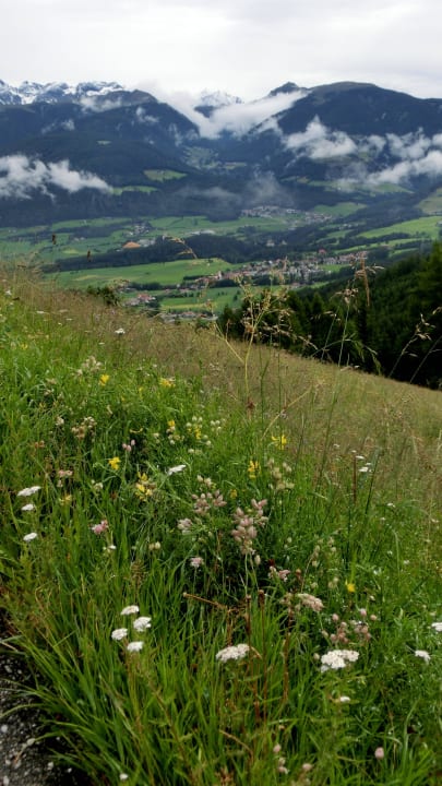 Immer wieder das Tal Chalet Almdorf Haidenberg