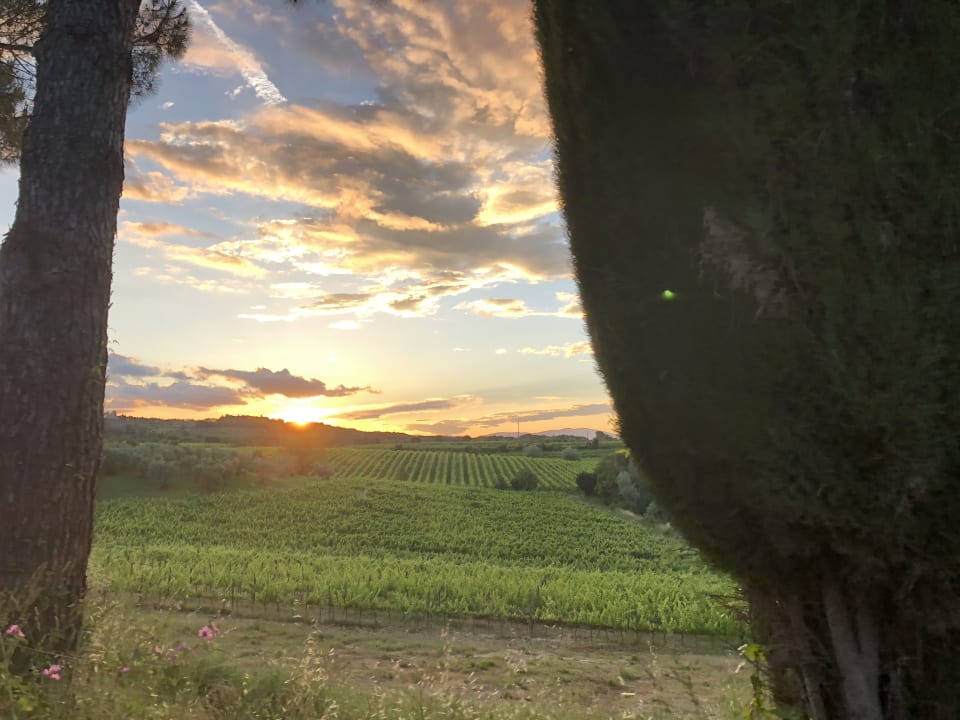 Außenansicht Ventena Vecchia antico frantoio