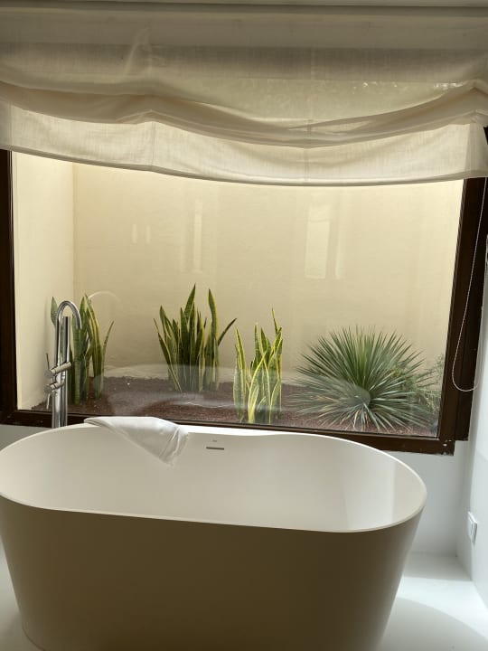 Zimmer Alondra Villas & Suites