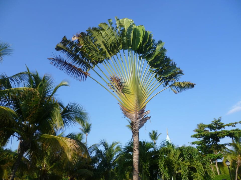 Garten Senator Puerto Plata Hotel