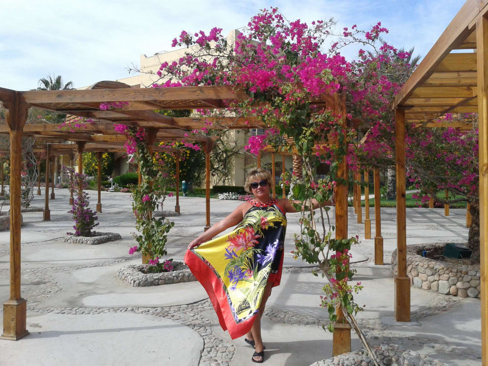 Идём в ресторан Desert Rose