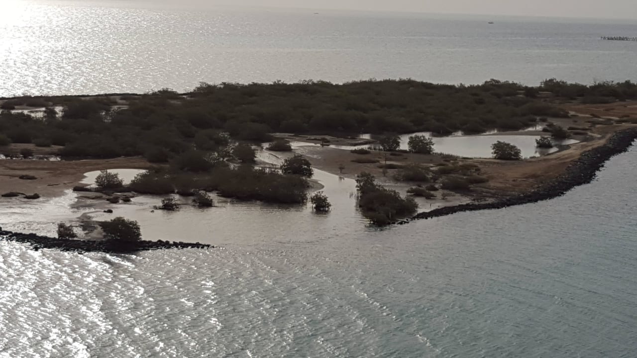 Zimmerblick Hotel Three Corners Ocean View prestige - Adults only