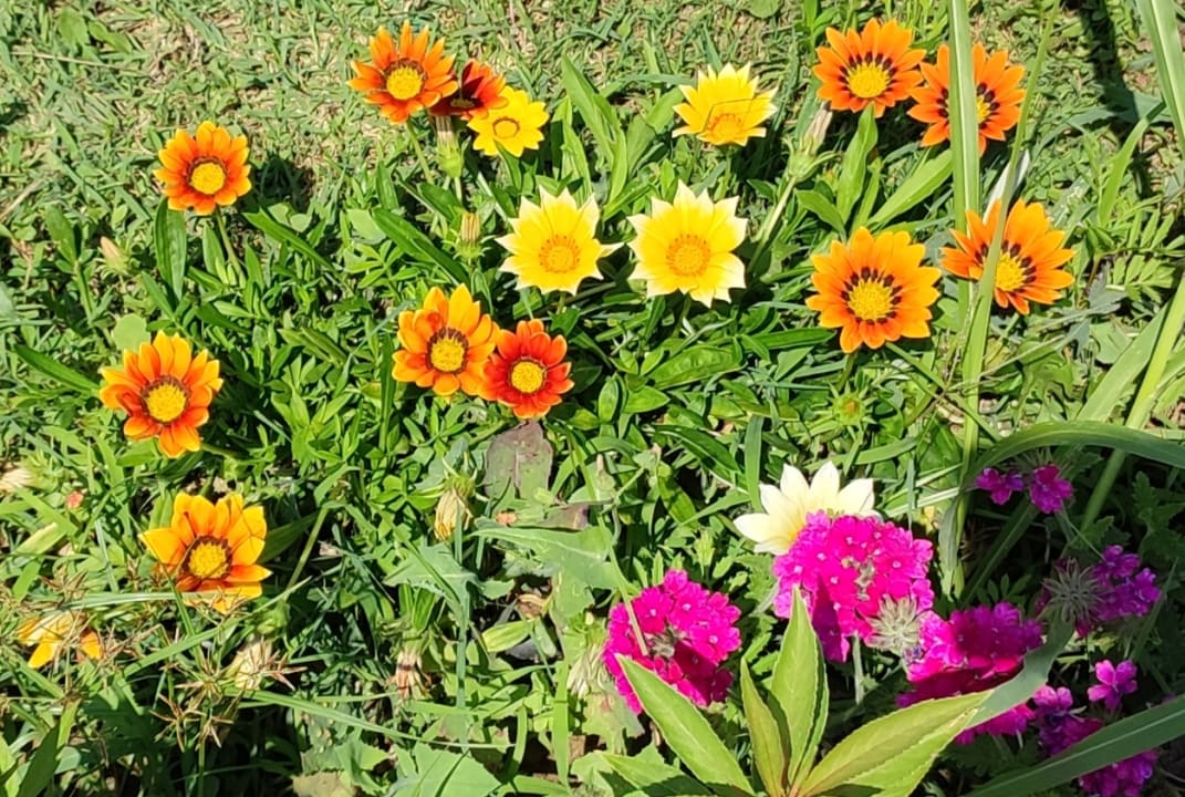 Gartenanlage Labranda Lebedos Princess
