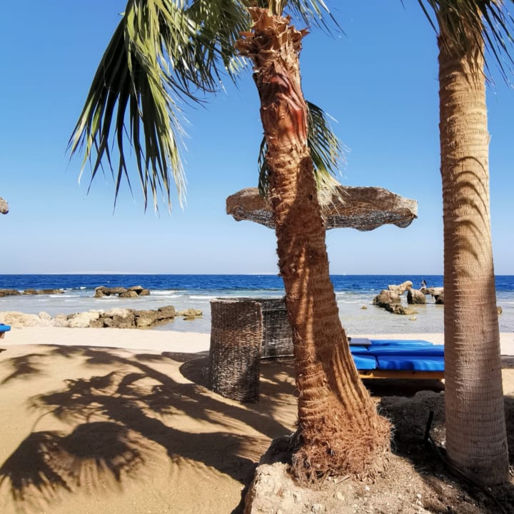 Strand Pickalbatros Citadel Resort