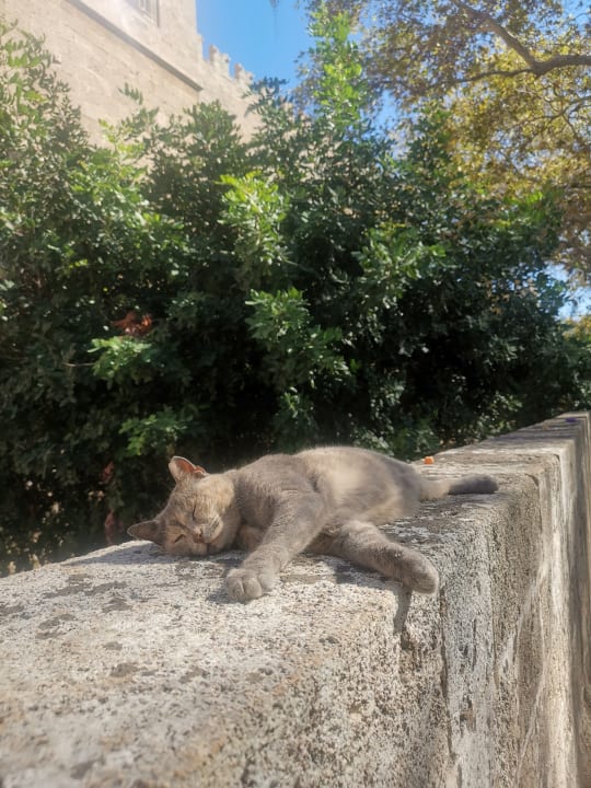Außenansicht Lindos Royal Resort