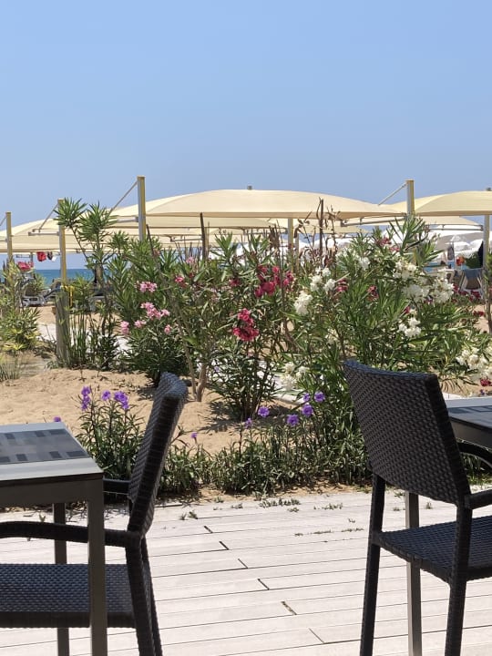 Gastro TUI BLUE Xanthe