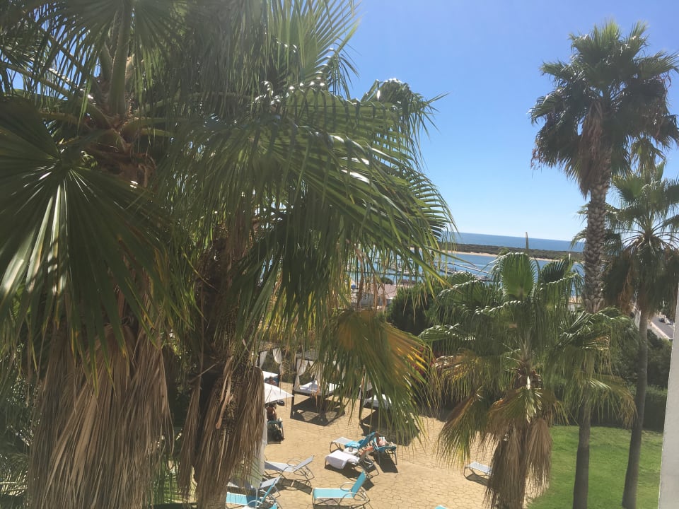 Ausblick Garden Playanatural - Adults only