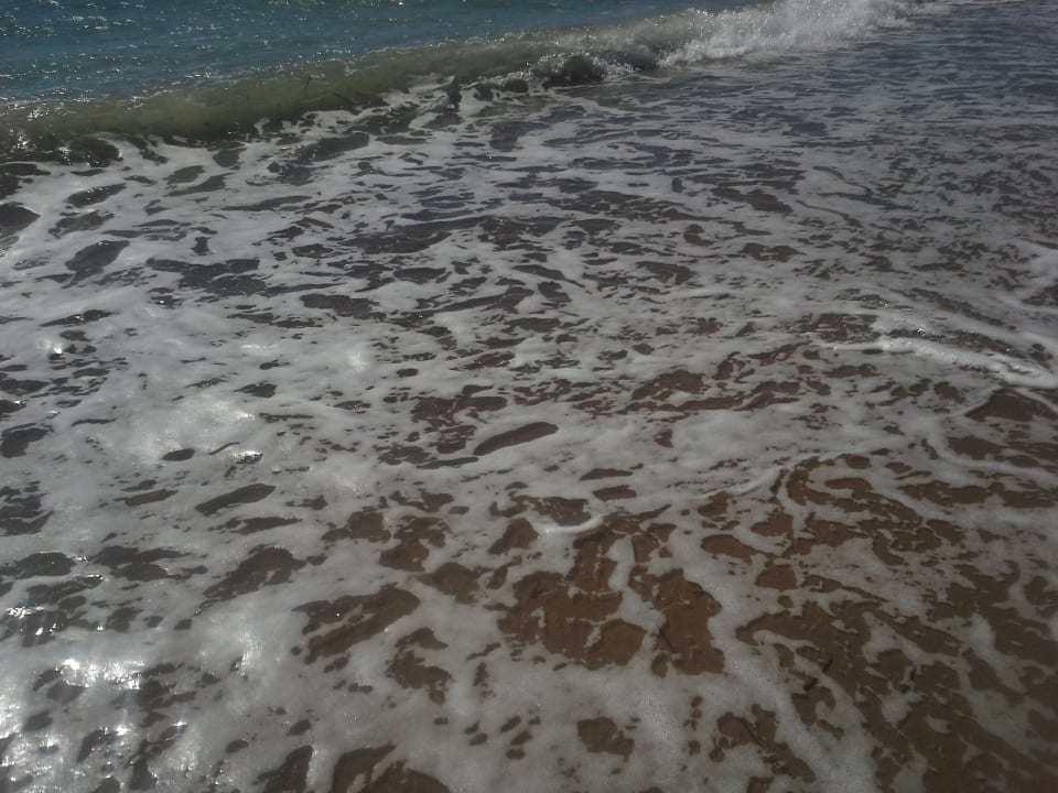 Strand AQI Pegasos World