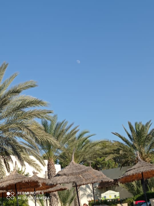 Sonstiges TUI MAGIC LIFE Penelope Beach