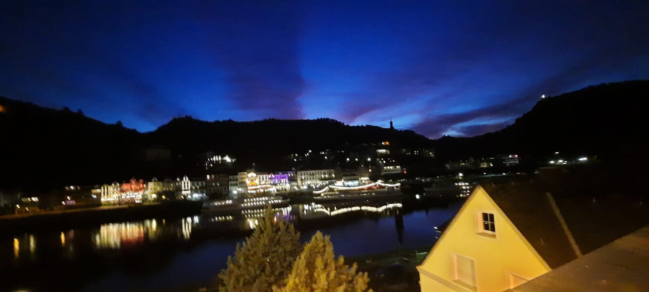 Ausblick Moselstern Hotel Brixiade & Triton