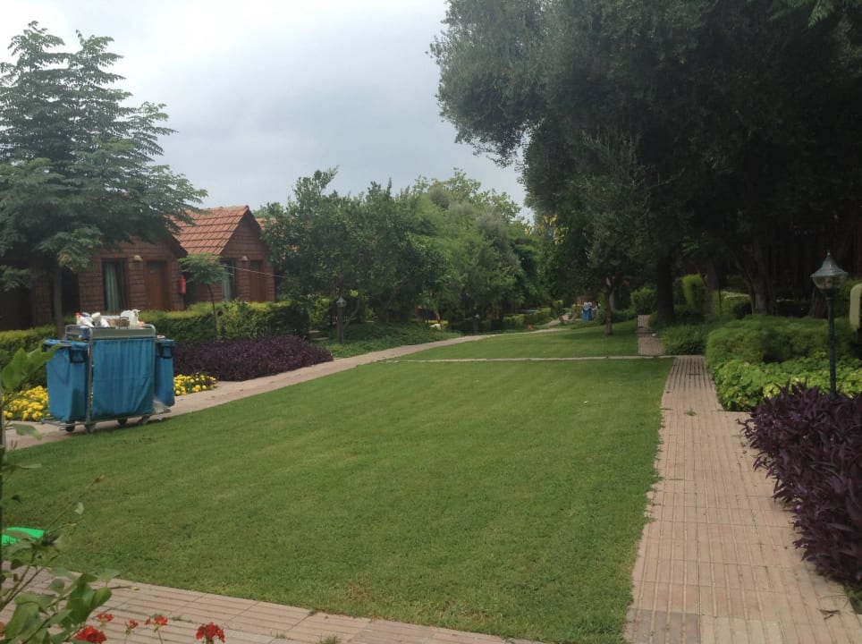 Garten Can Garden Beach