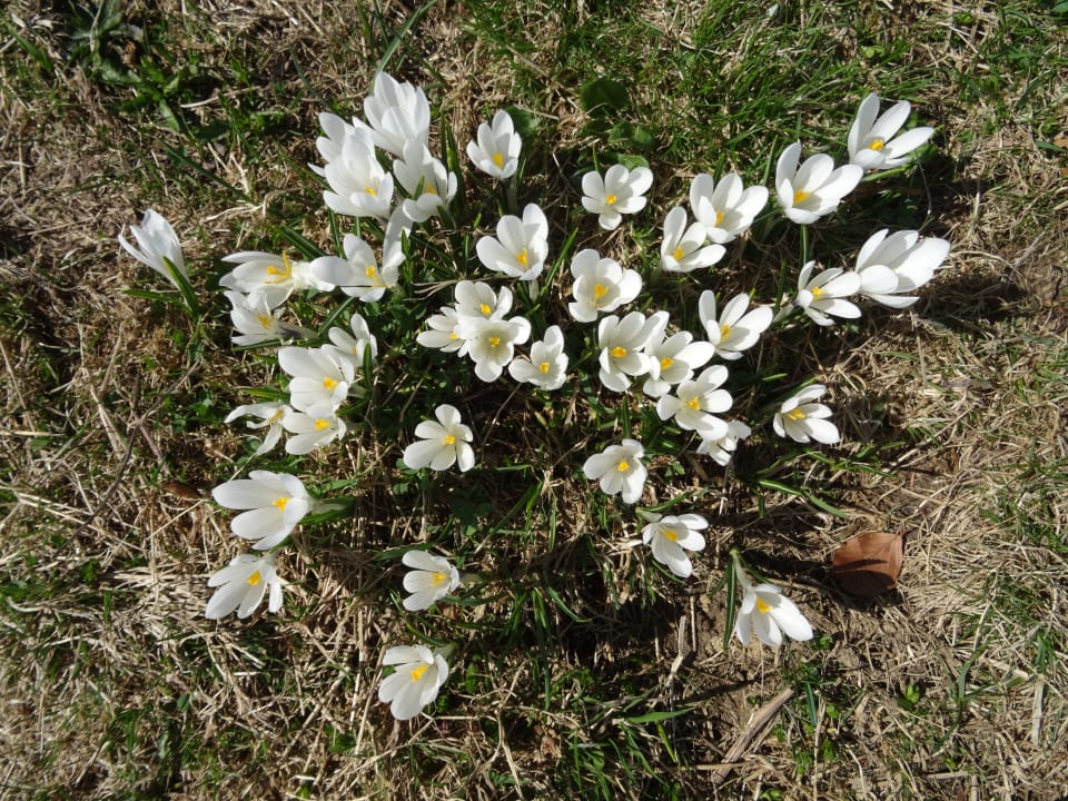 Sonstiges Parkhotel Oberstaufen