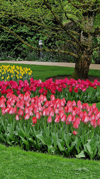 Gartenanlage Hotel Restaurant Rebstock Durbach