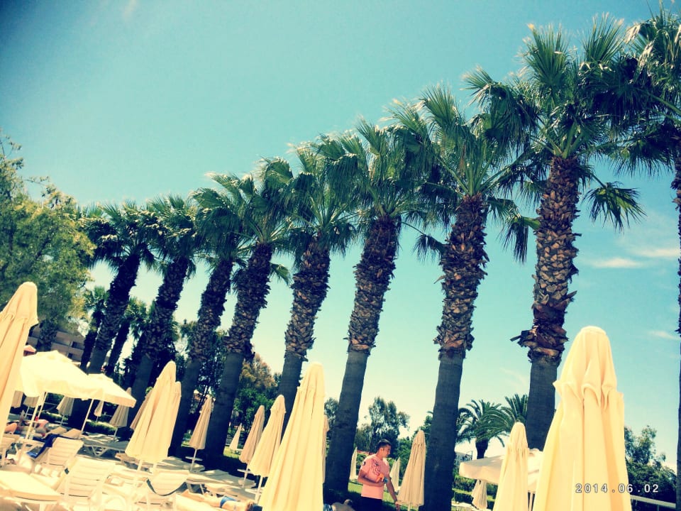 Hotel Saray Regency Resort & Spa Asteria Collection Side