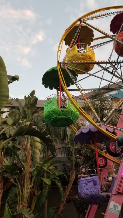 Sport & Freizeit Royal Seginus