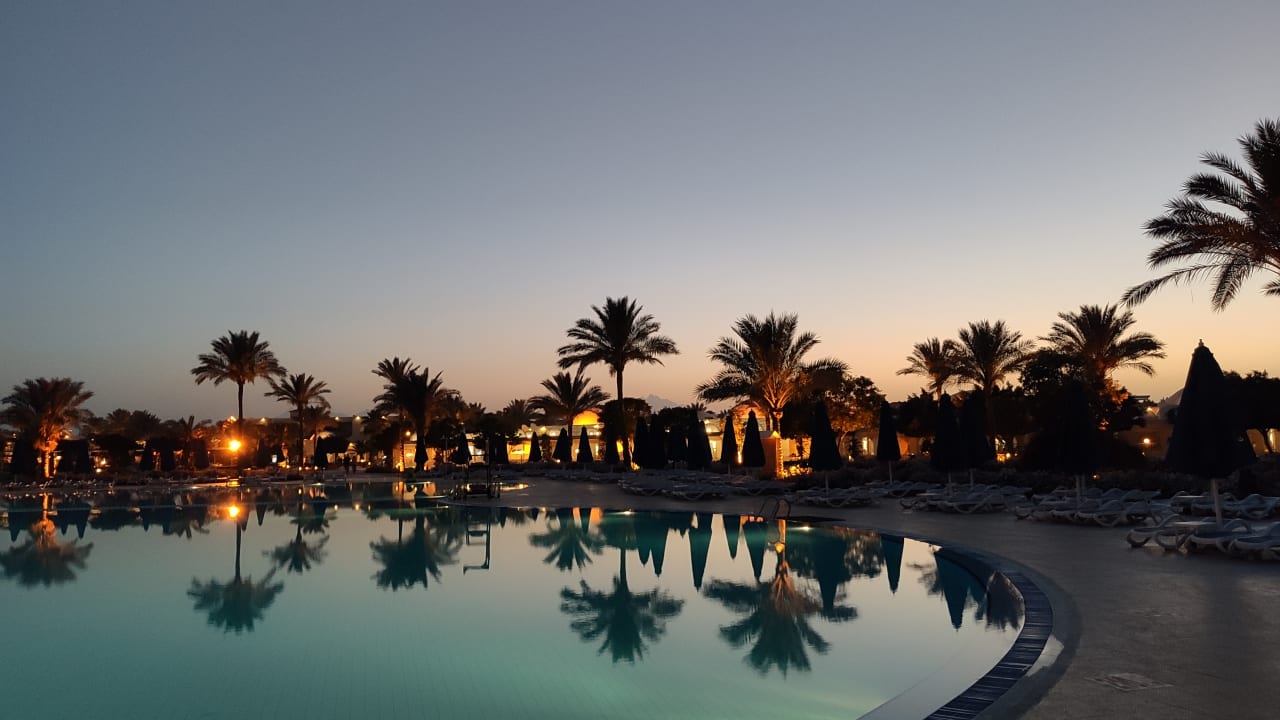 Ausblick Desert Rose