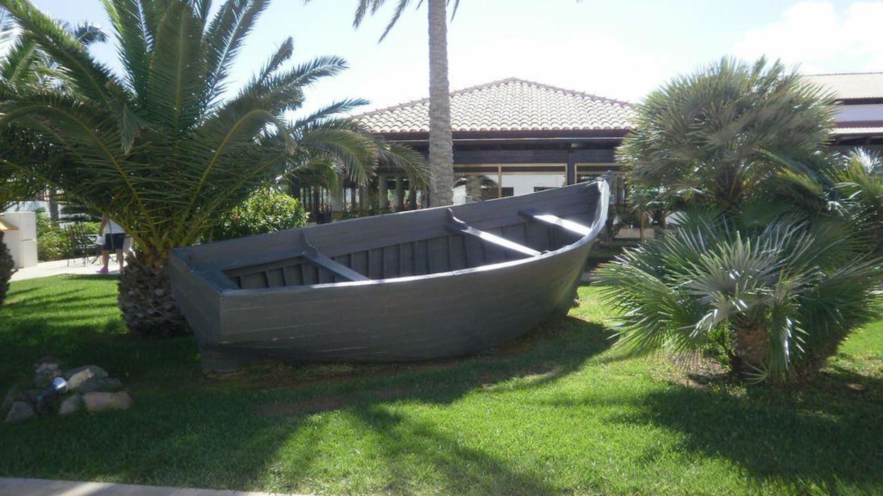 Zieleń TUI MAGIC LIFE Fuerteventura