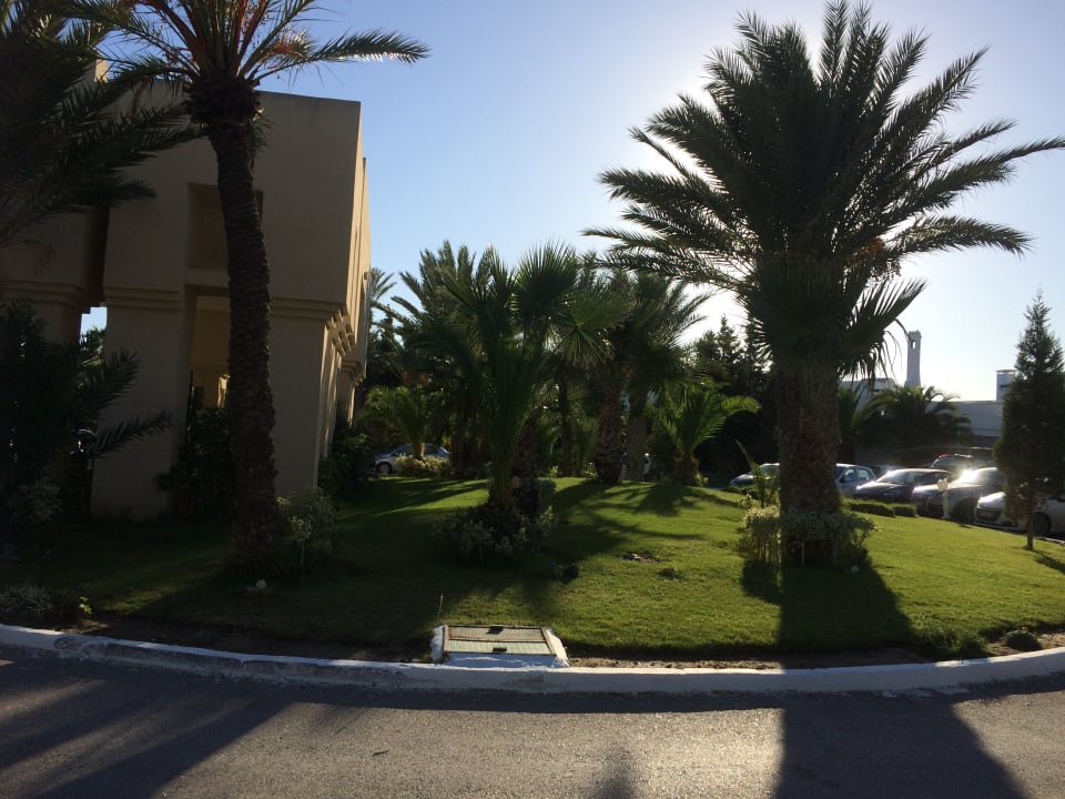 Gartenanlage Nozha Beach Resort & Spa