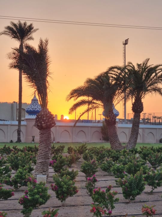 Gartenanlage Pickalbatros Alf Leila Wa Leila Resort - Neverland Hurghada