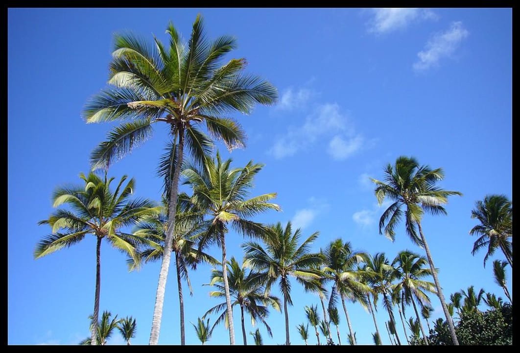 Genial Grand Sirenis Punta Cana Resort & Aquagames