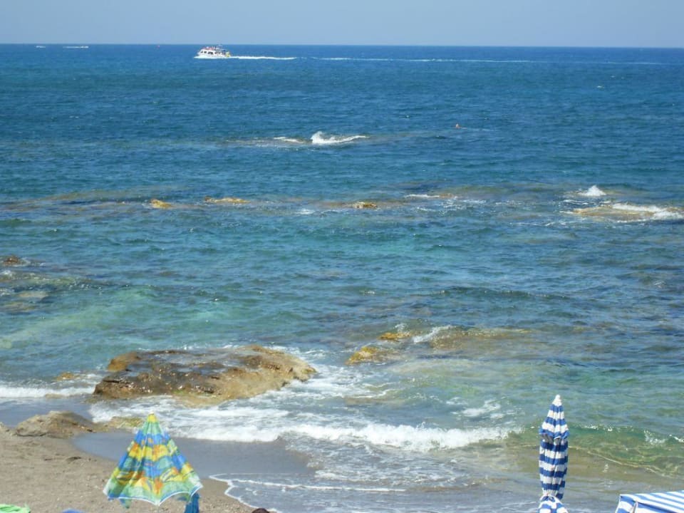 Widok z hotelowego pokoju Hotel Evelyn Beach