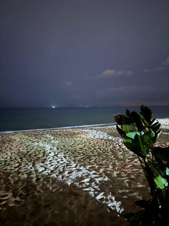 Strand Hotel Royal Nozha