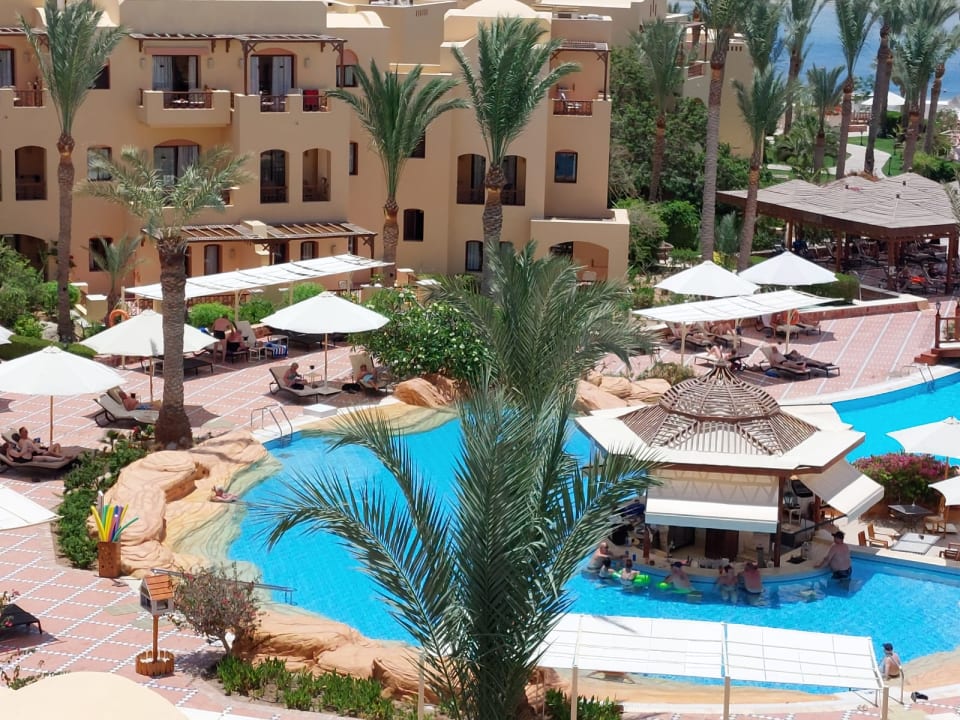 Pool Steigenberger Coraya Beach - Adults only