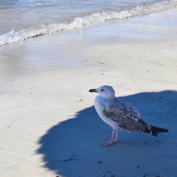 Außenansicht BQ Aguamarina Boutique Hotel