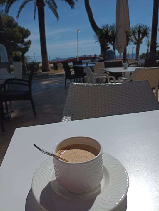 Gartenanlage allsun App.-Hotel Orquidea Playa