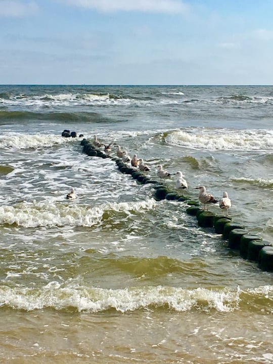 Strand SEETELHOTEL Kaiserstrand Beachhotel