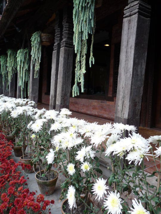 Blumenschmuck Dwarikas Hotel