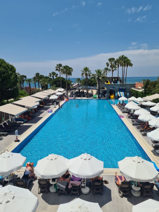 Pool Hotel Thalia Unique