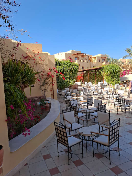 Gastro Steigenberger Coraya Beach - Adults only