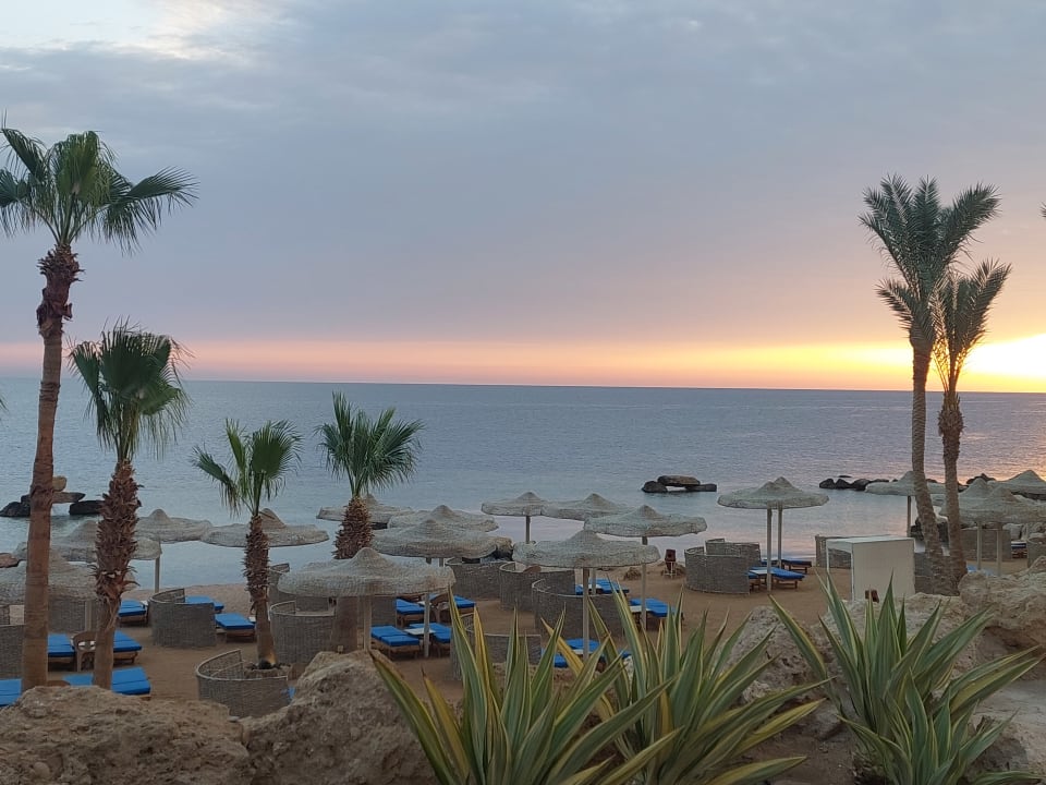 Strand Pickalbatros Citadel Resort