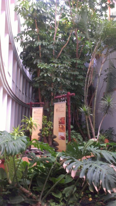 Begrünter Innenhof Hotel Riu Palace Tenerife