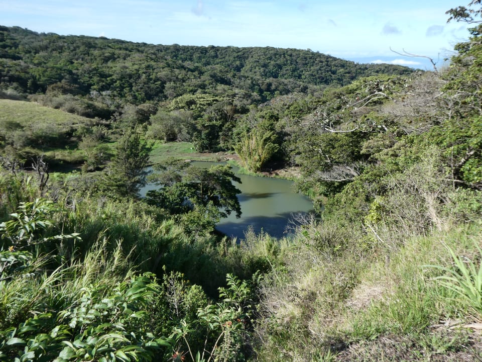 Ausblick Hotel Montana Monteverde