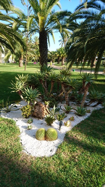 Gartenanlage Oceana Hotel & Spa