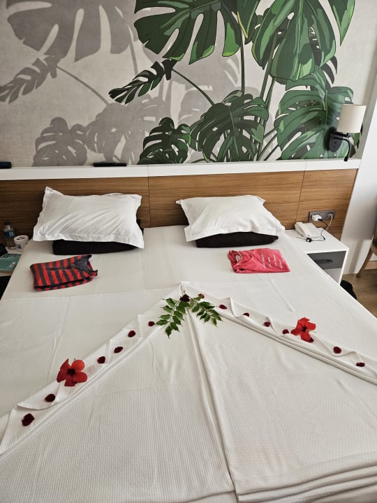 Zimmer Alba Resort Hotel
