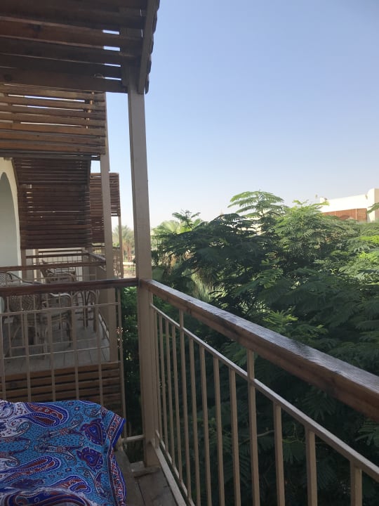 Ausblick Desert Rose