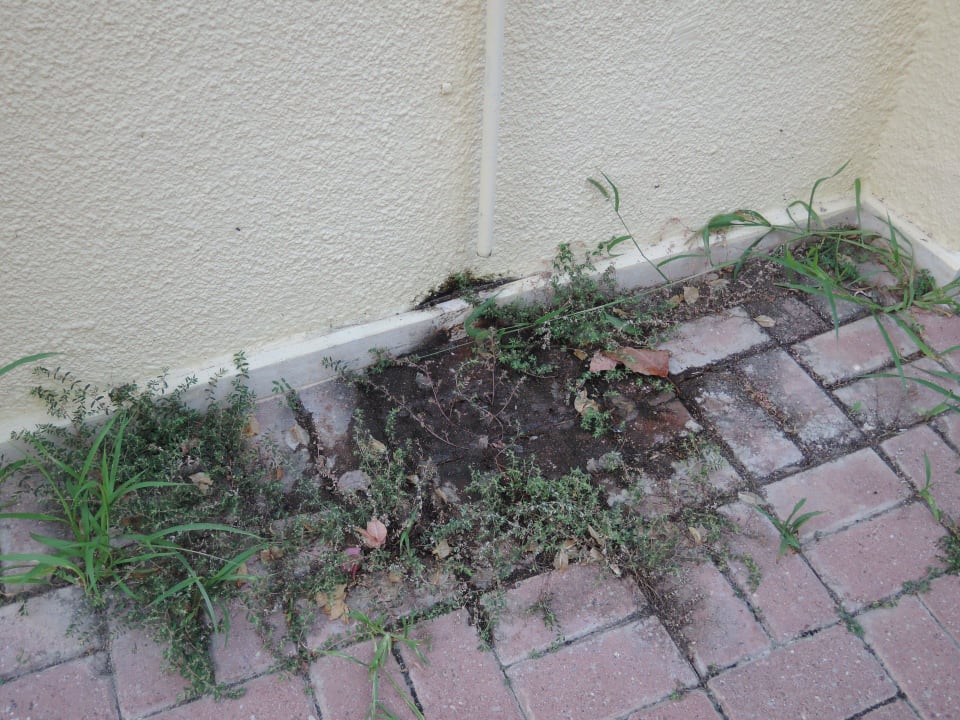 Klimaanlage Bungalow VONRESORT Golden Beach