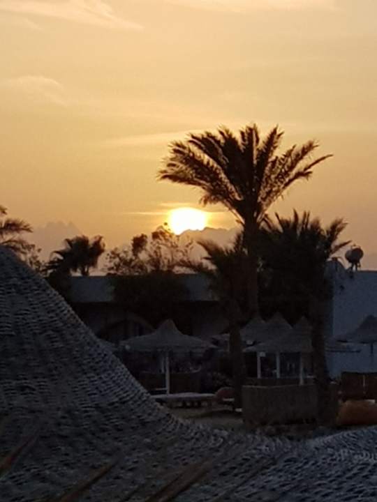 Ausblick Desert Rose