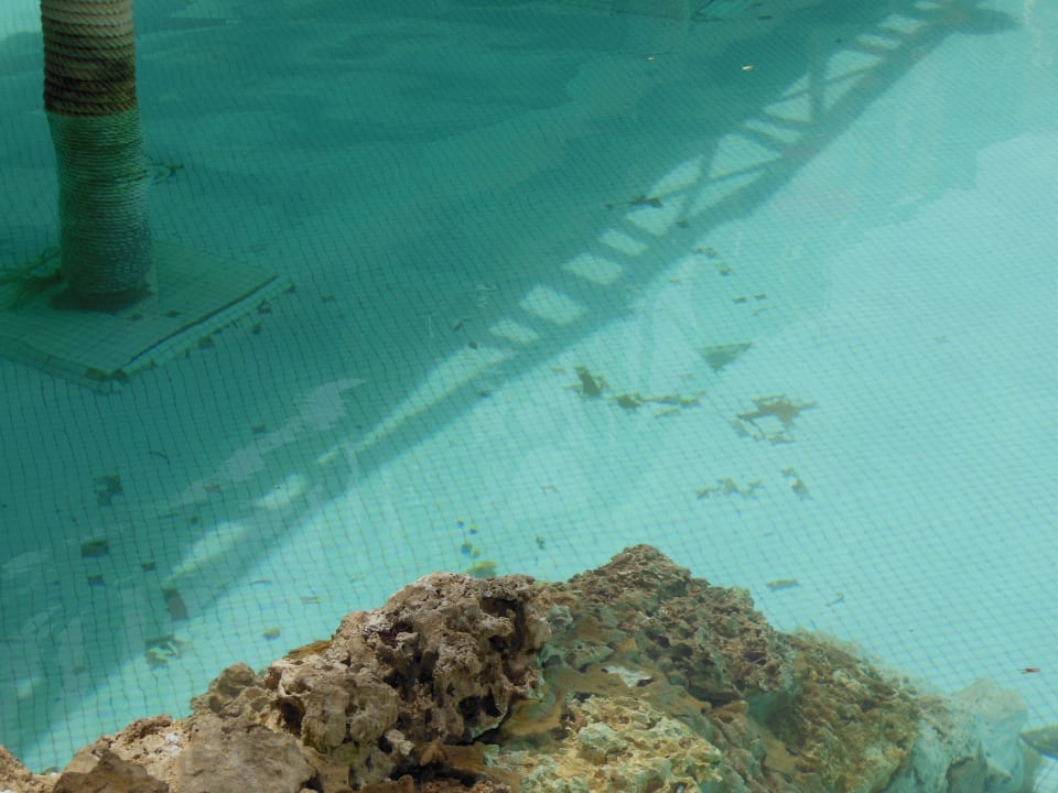 Schmutz und fehlende Fliesen im Pool Grand Makadi