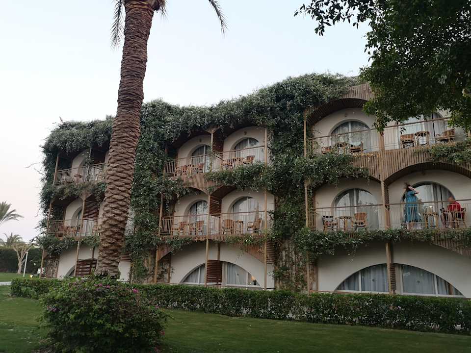 Außenansicht Desert Rose