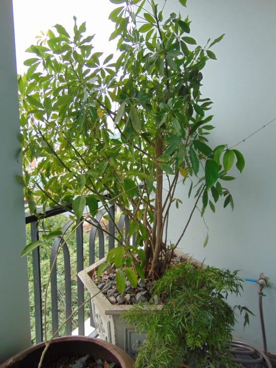 Zimmer Le Clos Du Fil